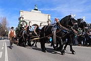 St. Patricks Day Parade am 17.03.2019 (©Foto: Martin Schmitz)